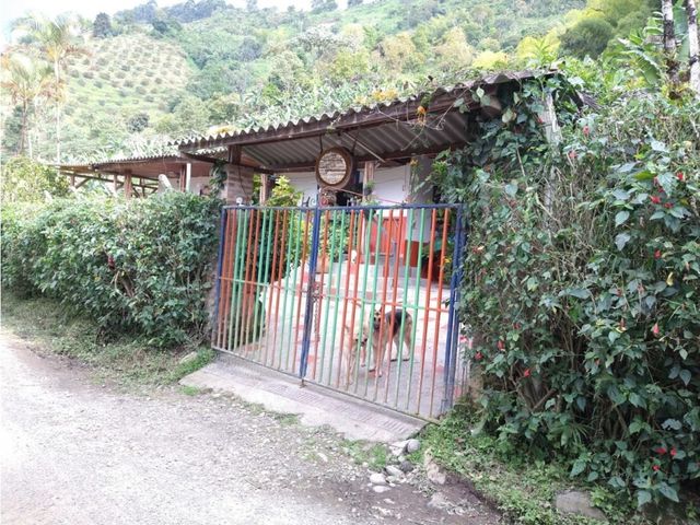 place photo 32