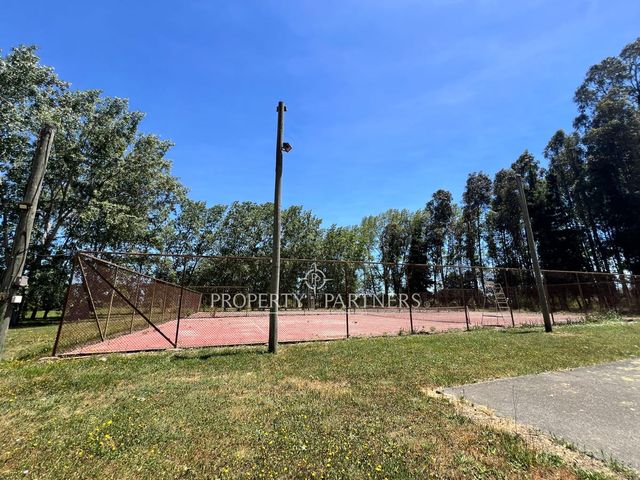 place photo 41