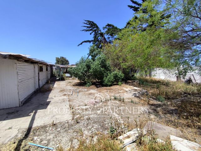 place photo 19