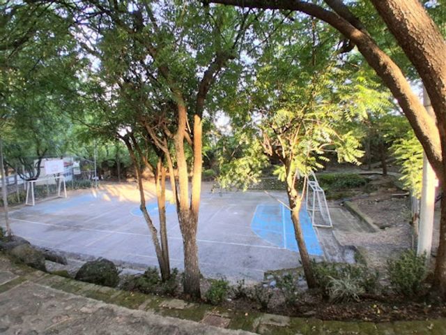place photo 16