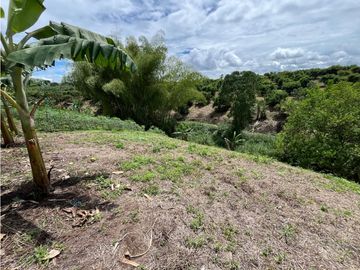 place photo 49