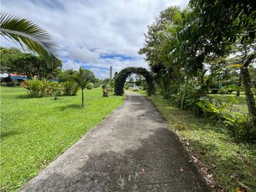 place photo 57
