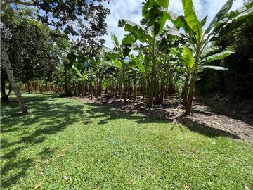 place photo 67