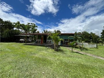 place photo 39