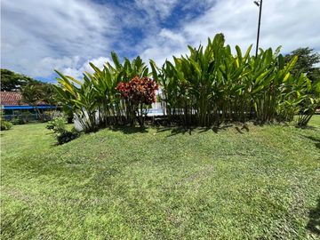 place photo 62