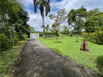 place photo 71