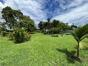 place photo 59