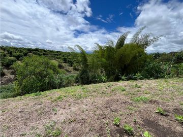 place photo 69