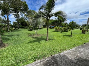 place photo 61