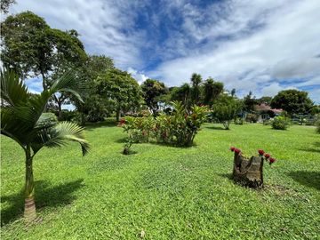 place photo 52