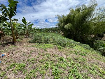 place photo 53