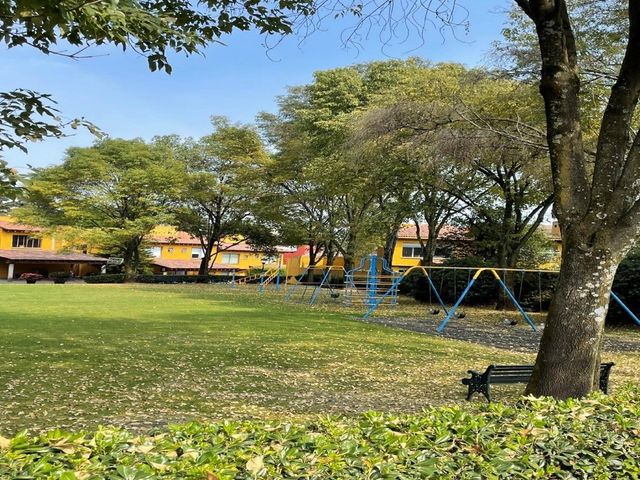 place photo 10