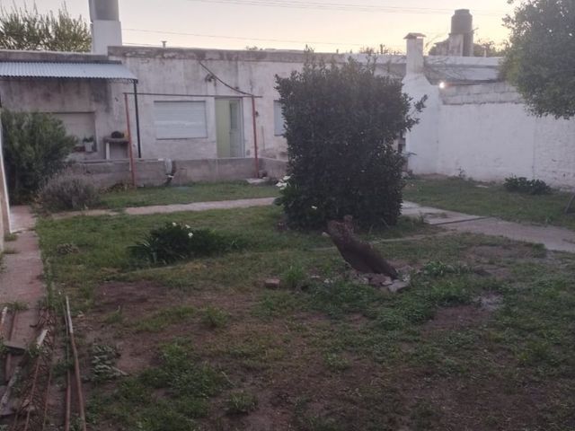 place photo 14