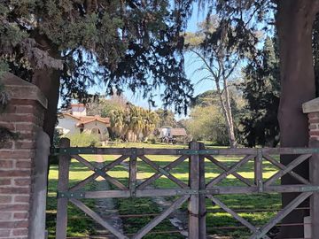 place photo 11
