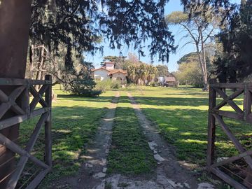place photo 12