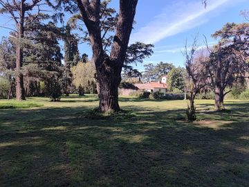 place photo 22