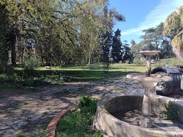 place photo 15