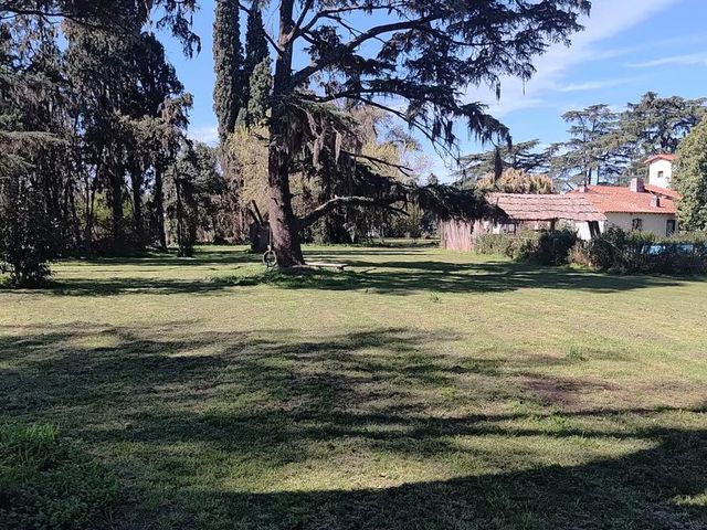place photo 13
