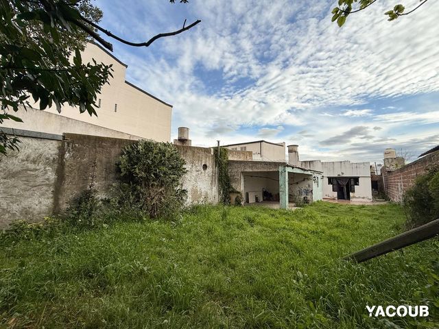 place photo 19