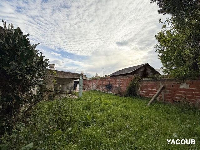 place photo 20