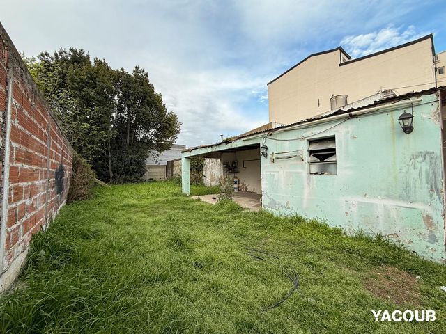 place photo 23