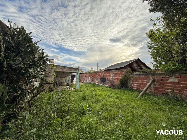 place photo 21