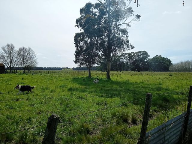 place photo 19