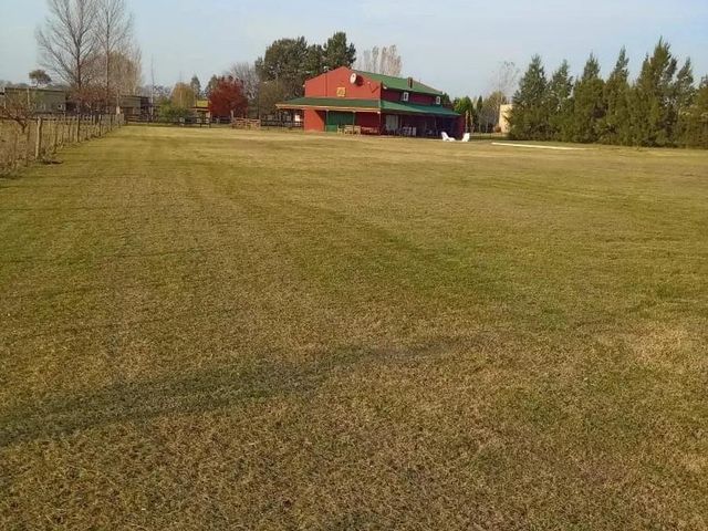 place photo 23