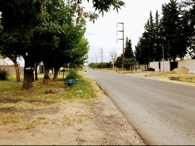 place photo 17