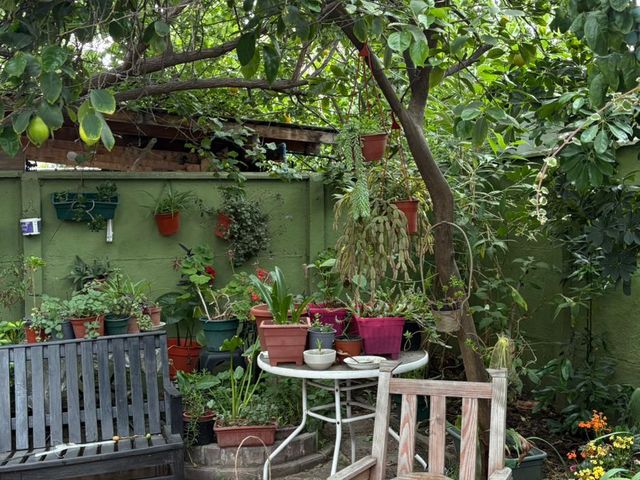 place photo 21