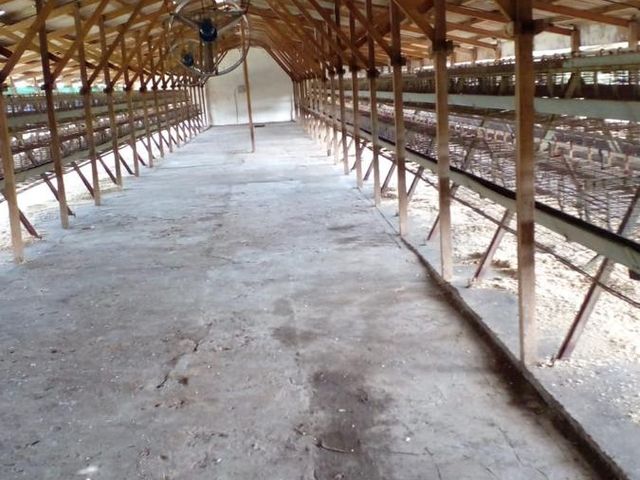 place photo 19