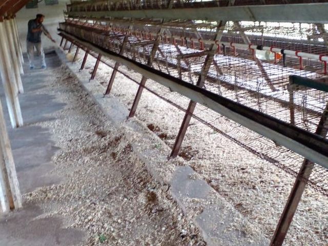 place photo 17