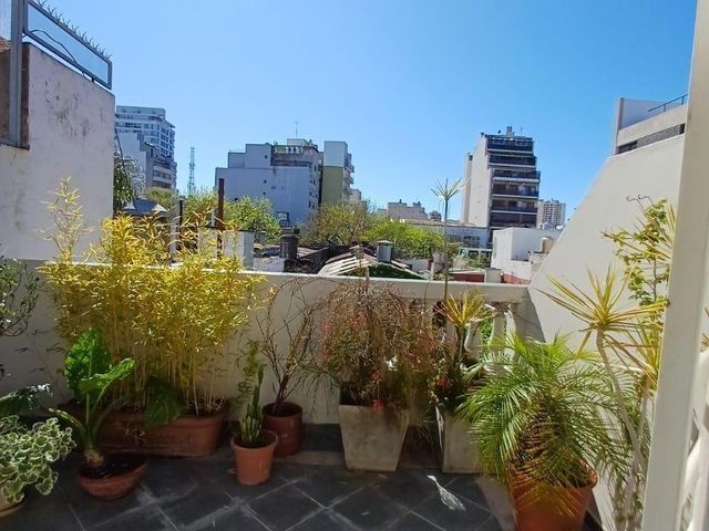 place photo 32