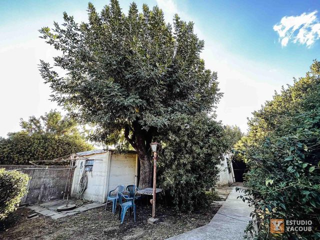 place photo 70