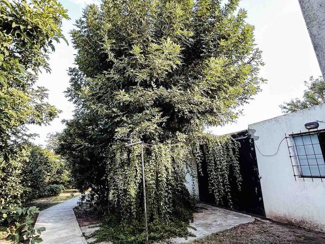 place photo 40