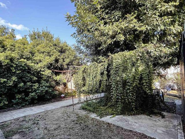 place photo 33