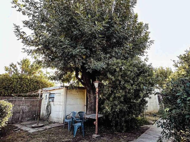 place photo 71