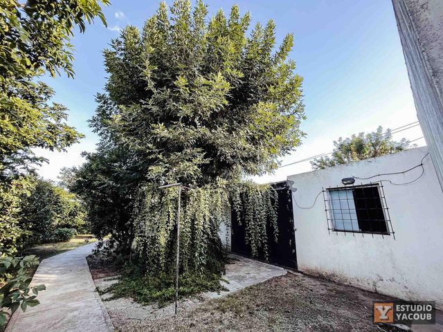 place photo 39