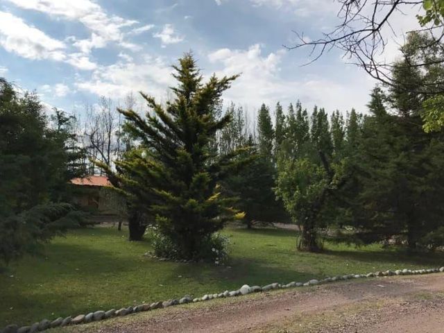 place photo 24