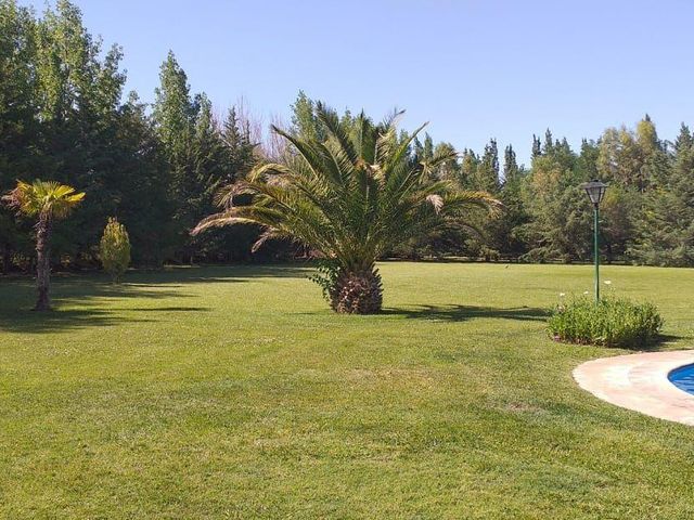 place photo 41