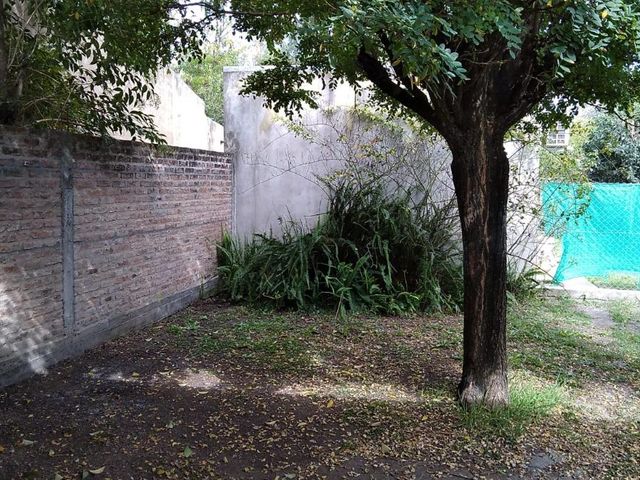 place photo 23