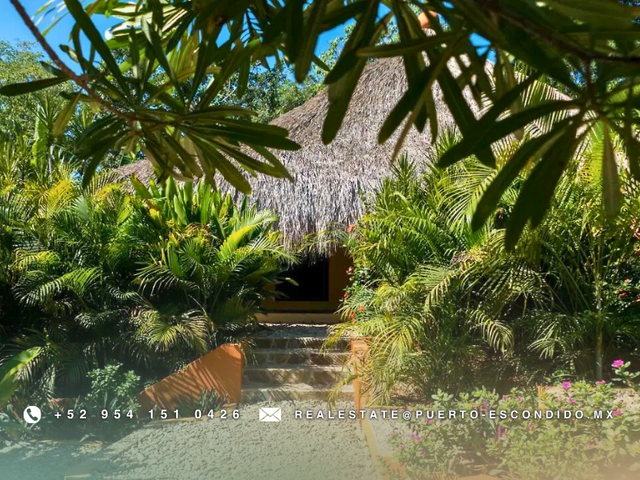 place photo 33
