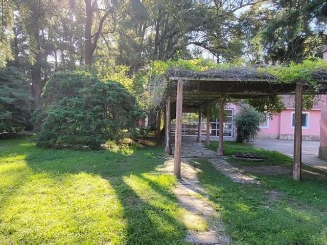 place photo 12