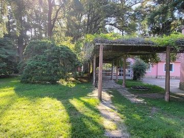 place photo 12
