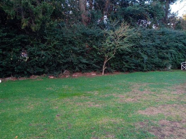 place photo 53