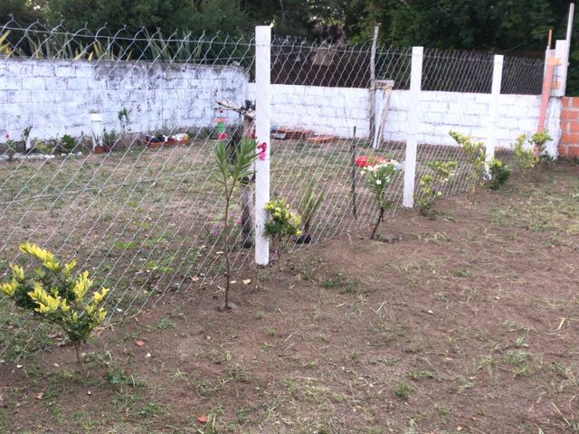 place photo 30