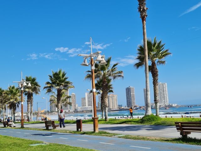 place photo 23