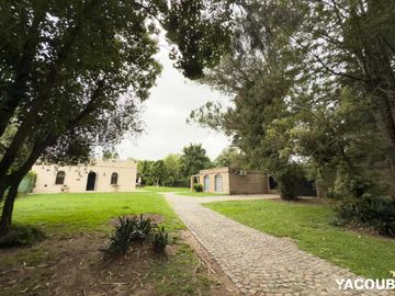 place photo 20