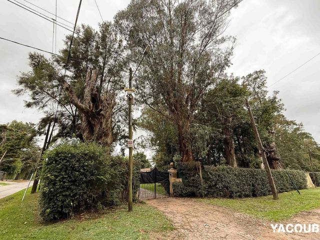 place photo 18