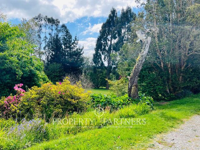 place photo 46